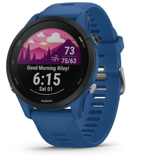 Garmin Forerunner 255 (010-02641-01)