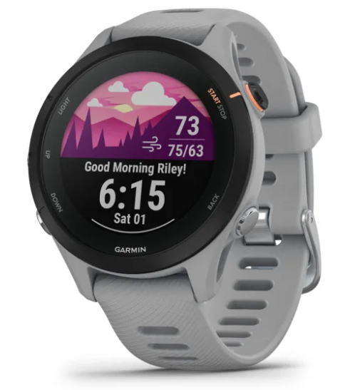 Garmin Forerunner 255S (010-02641-02)
