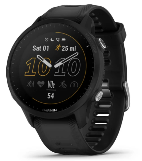 Garmin Forerunner 955 (010-02638-10)